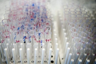 Empresa brasileira desenvolve e exporta DNA polimerases