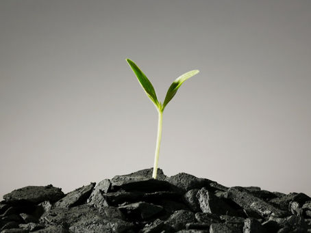 As aguardadas novas regras para licenças ambientais