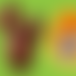 Inmetro da dicas para Compras