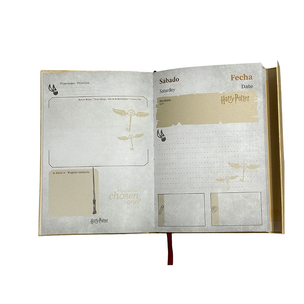 Miniatura: Agenda Perpetua Harry Potter