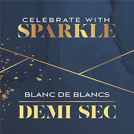 2025 Canada 24x200ml Sparkling Blanc De Blancs Demi Sec-01.jpg
