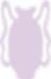 lilac vase.png