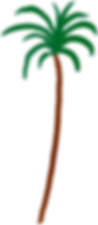 small palm tree.png