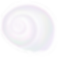 spiral shell.png