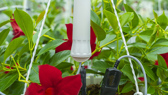 Soil Moisture sensor