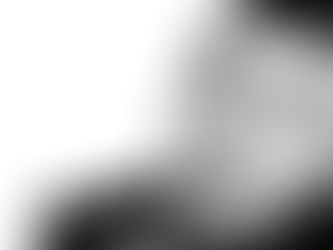 L'affaire Nekkiche renvoyée au 1er octobre par la cour d'Alger