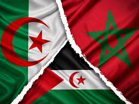 Sahara occidental : à l’ONU, l’Algérie réaffirme sa position sur l’autodétermination