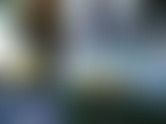 Abdelkrim Zeghileche interpelle la présidente du CNDH après une promesse non tenue