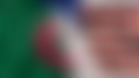 هل دخلت العلاقات الجزائرية–الأمريكية مرحلة جديدة ؟ قرار "الكفالة" يثير الجدل ويطرح أسئلة
