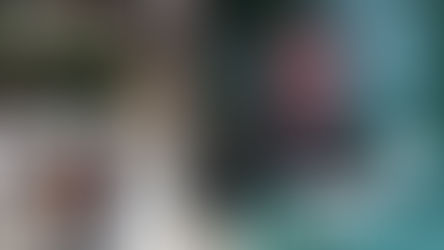 بعد عام من الرئاسيات : استيراد ضخم، دينار ينهار… واقتصاد بلا إقلاع