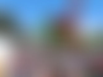 الجزائر بين الانفراج والتضييق: قراءة في المشهد الحقوقي والسياسي