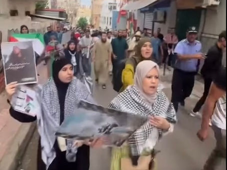 L’impossible soutien public à la Palestine : la ligne rouge du régime algérien