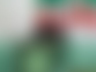 Selon la Cour constitutionnelle: Tebboune obtient 84,30 % des voix pour son nouveau mandat