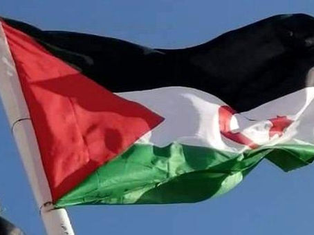 Disparitions forcées au Sahara occidental: l'ONU place le Maroc sous examen pour la première fois