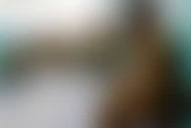 الجزائر: معاناة عائلات المساجين ووزارة العدل توضح