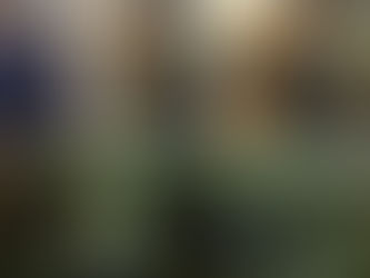 La liberté de presse mise à mal: Al Jazeera forcée de fermer ses portes en Cisjordanie