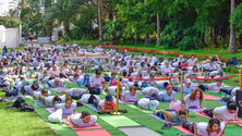 Yoga au Jardin d’essai : quand l’Association des Oulémas choisit sa bataille