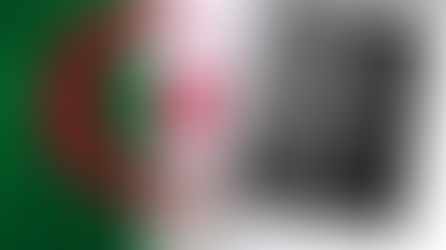 الجزائر : قانون الأحزاب… إصلاح أم وصاية جديدة على التعددية ؟