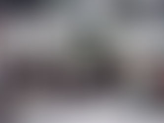 Les Janvieristes reviennent sur le devant de la scène : Nezzar en première ligne