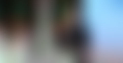 الإنتخابات الرئاسية: الإعلان عن القائمة الإسمية للمترشحين اواخر شهر جويلية