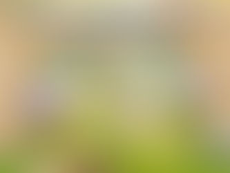 Le Printemps des Livres et Créations x Des livres et vous