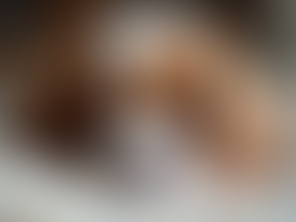 Latest Updates on Moore's Cavaliers New Cavalier Litters