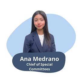 MEET THE CHAIR 12.png
