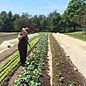 Tortoise & Hare Farm.jpg