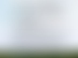 GLF [Global Leadership Forum]