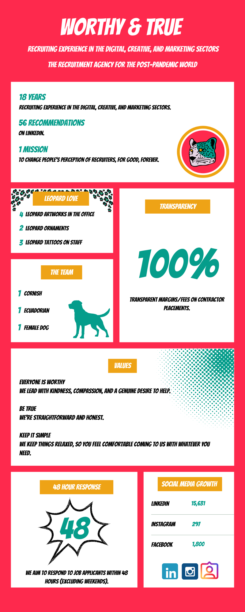 KP Marketing portfolio piece