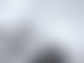 LEADING ORGANIZATIONS: Moving Up The Leadership Hierarchy