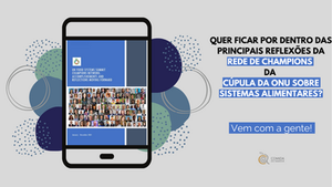 Fique por dentro do que acontece na Rede de Champions da ONU
