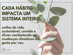 Estilos de vida e consumo sustentável: ação internacional no contexto da atual crise.