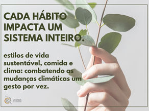 Estilos de vida e consumo sustentável: ação internacional no contexto da atual crise.