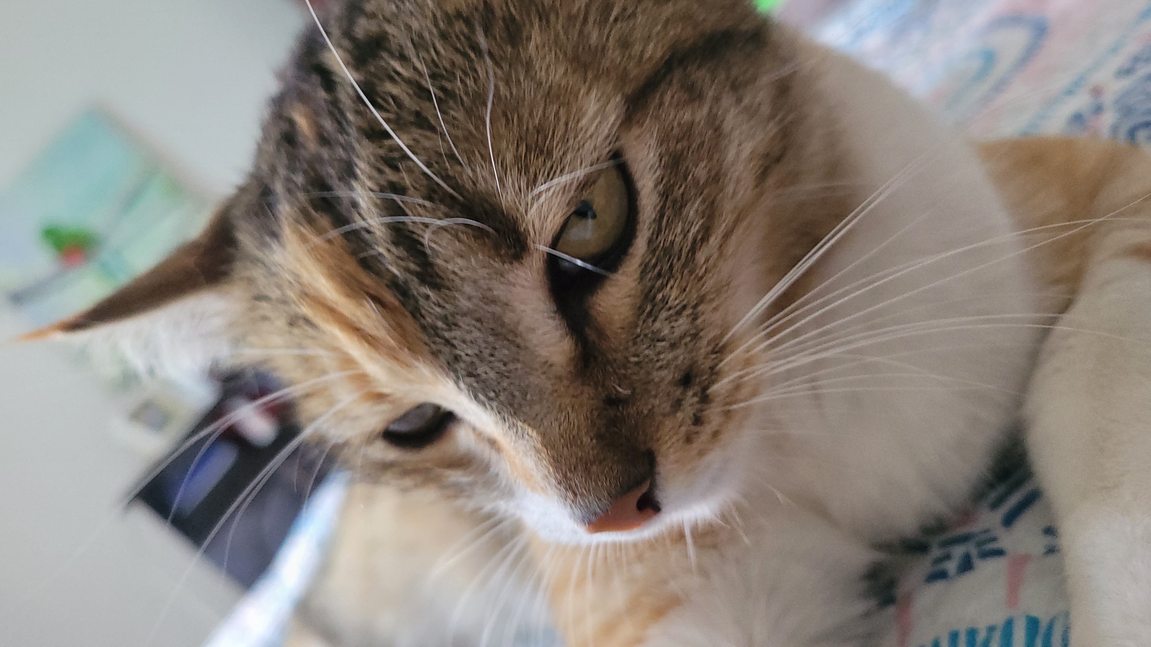 Luna