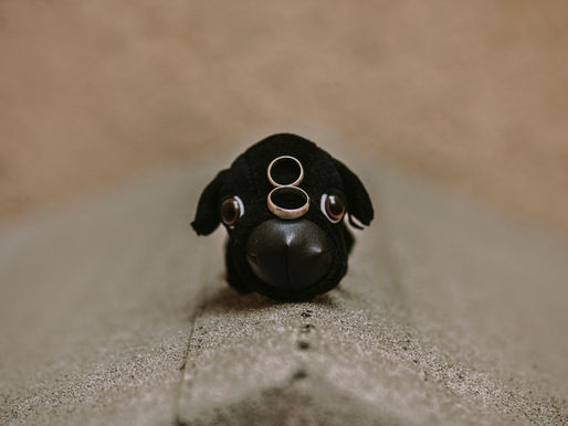 Mine & Alonso | Vinisfera