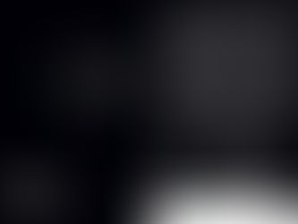 PROTOCOL - Exhibition Announcement!