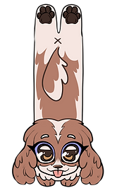 Pies_2.png