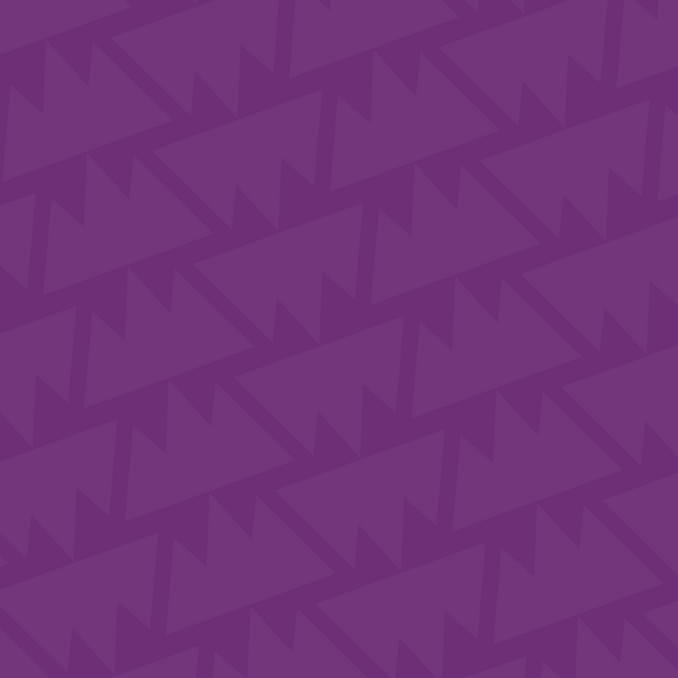Bardsley Youth Project - Purple Background.png