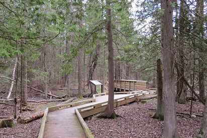 wolf creek trail.jpg