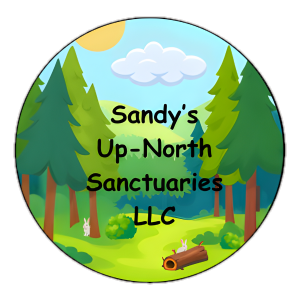 Happy Camper Upgrade Update: Hot Tub, Balcony & Summer-Ready Glamping in Northern Michigan