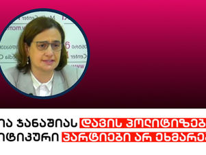 ნათია ჯანაშიას დავის პოლიტიზებაში პოლიტიკური პარტიები არ ეხმარებიან