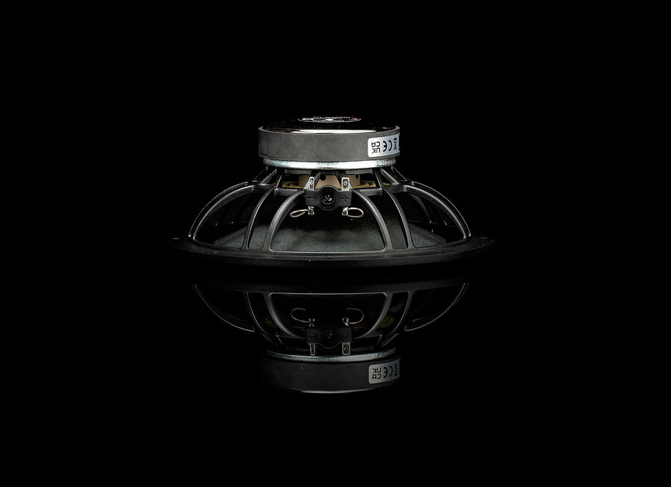 Miniatura: Gladen Sigma SW 200