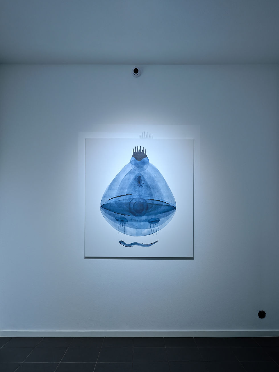 Karolína Rossí: Mikrokosmy 3/10 – 5/12 2025