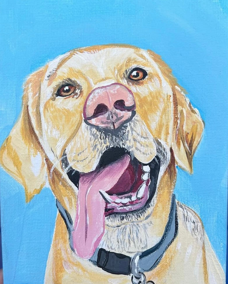 Paint your Pet!