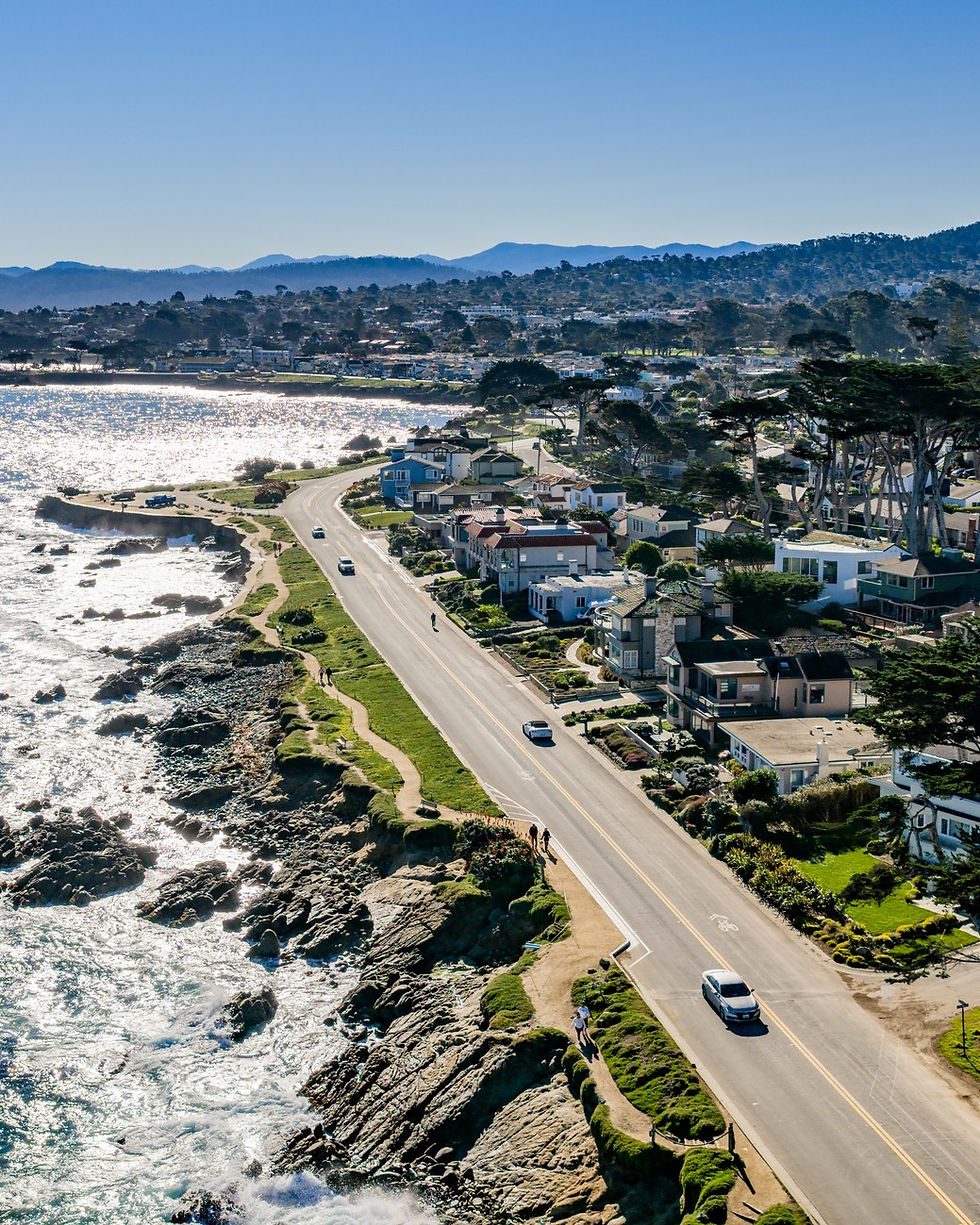 Aerial view of Pacific Grove