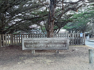 Hopkins Marine Station