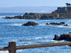 Pacfici Grove coastline