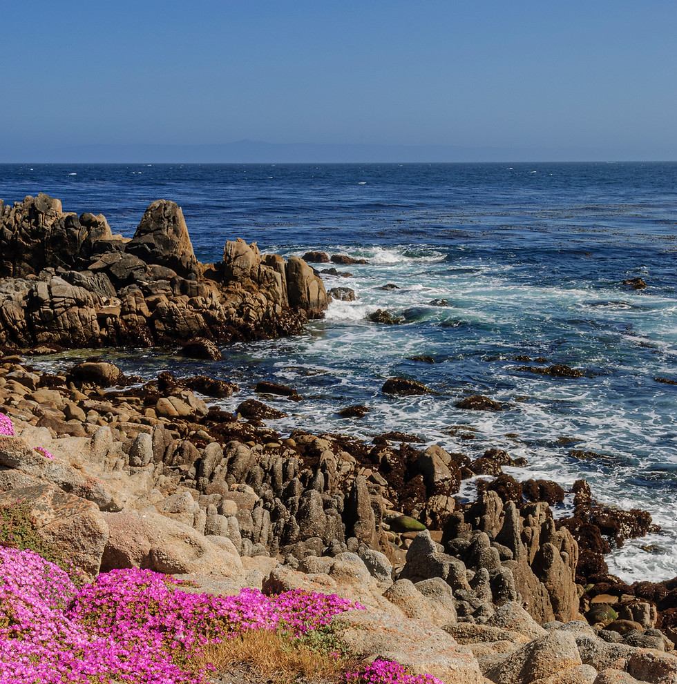 Picture of Monterey Bay, from Pacific Grove coastline.