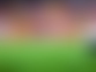 Soccer ball on the pitch